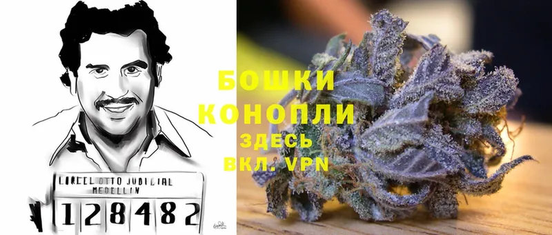 Канабис OG Kush  Ейск 